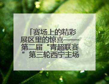 赛场上的精彩 展区里的惊喜——第二届“青超联赛”第三轮西宁主场比赛见闻