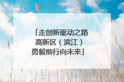 走创新驱动之路 高新区（滨江）勇毅前行向未来