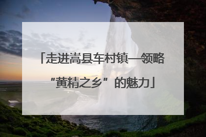 走进嵩县车村镇—领略“黄精之乡”的魅力