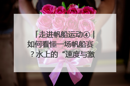 走进帆船运动④｜如何看懂一场帆船赛？水上的“速度与激情”同样精彩