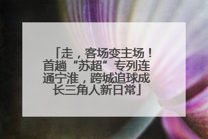 走，客场变主场！首趟“苏超”专列连通宁淮，跨城追球成长三角人新日常