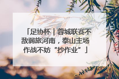足协杯｜蓉城联赛不敌弱旅河南，泰山主场作战不妨“抄作业”