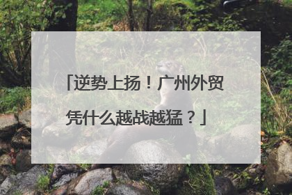 逆势上扬！广州外贸凭什么越战越猛？