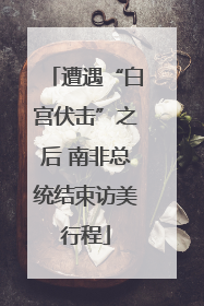 遭遇“白宫伏击”之后 南非总统结束访美行程