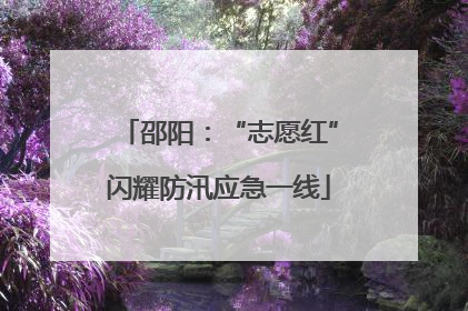 邵阳：“志愿红”闪耀防汛应急一线