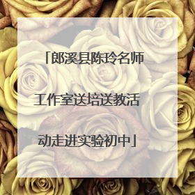 郎溪县陈玲名师工作室送培送教活动走进实验初中