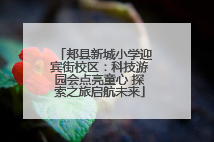 郏县新城小学迎宾街校区：科技游园会点亮童心 探索之旅启航未来