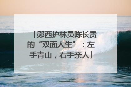 郧西护林员陈长贵的“双面人生”：左手青山，右手亲人