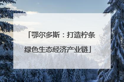 鄂尔多斯：打造柠条绿色生态经济产业链
