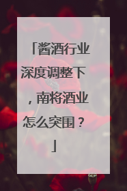 酱酒行业深度调整下，南将酒业怎么突围？