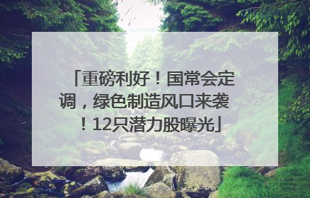 重磅利好！国常会定调，绿色制造风口来袭！12只潜力股曝光