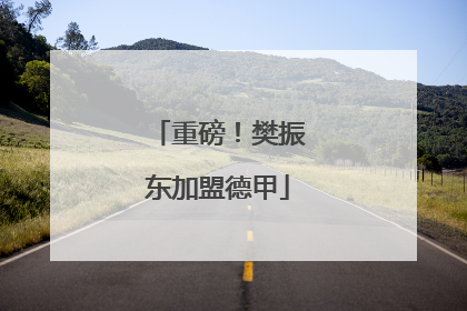 重磅！樊振东加盟德甲