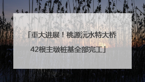 重大进展！桃源沅水特大桥42根主墩桩基全部完工