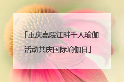 重庆嘉陵江畔千人瑜伽活动共庆国际瑜伽日