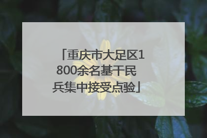 重庆市大足区1800余名基干民兵集中接受点验