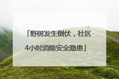 野树发生倒伏，社区4小时消除安全隐患