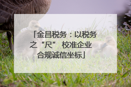 金昌税务：以税务之“尺” 校准企业合规诚信坐标