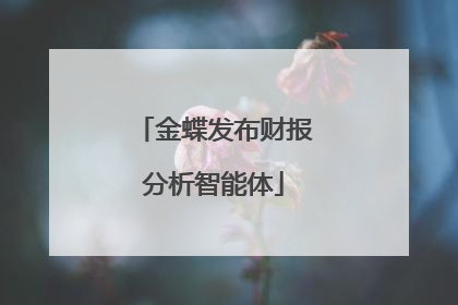金蝶发布财报分析智能体