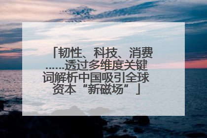 韧性、科技、消费……透过多维度关键词解析中国吸引全球资本“新磁场”