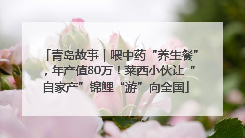 青岛故事｜喂中药“养生餐”，年产值80万！莱西小伙让“自家产”锦鲤“游”向全国