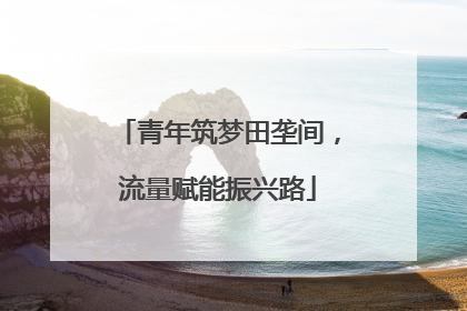 青年筑梦田垄间，流量赋能振兴路