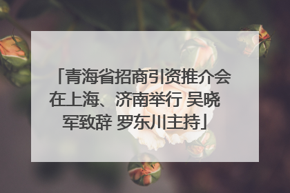 青海省招商引资推介会在上海、济南举行 吴晓军致辞 罗东川主持