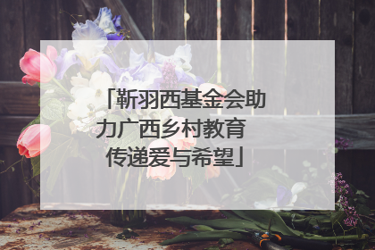 靳羽西基金会助力广西乡村教育 传递爱与希望