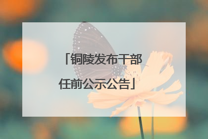 铜陵发布干部任前公示公告