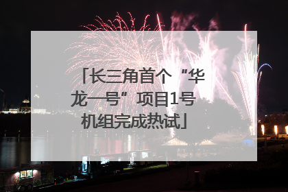 长三角首个“华龙一号”项目1号机组完成热试