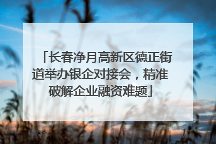 长春净月高新区德正街道举办银企对接会，精准破解企业融资难题