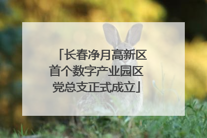长春净月高新区首个数字产业园区党总支正式成立