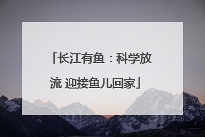 长江有鱼：科学放流 迎接鱼儿回家