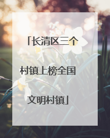 长清区三个村镇上榜全国文明村镇