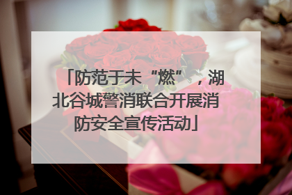 防范于未“燃”，湖北谷城警消联合开展消防安全宣传活动