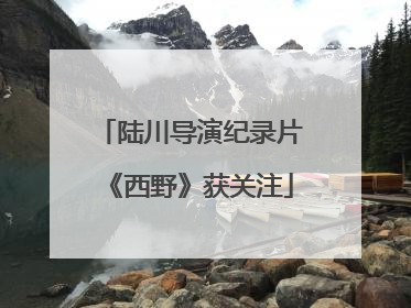 陆川导演纪录片《西野》获关注