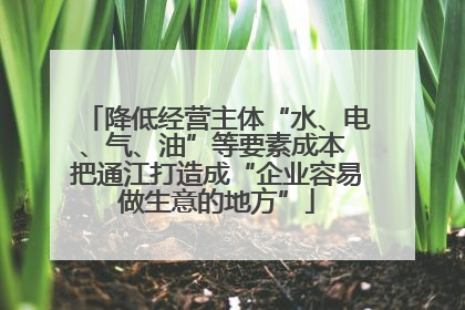 降低经营主体“水、电、气、油”等要素成本 把通江打造成“企业容易做生意的地方”