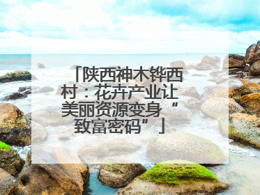 陕西神木铧西村：花卉产业让美丽资源变身“致富密码”