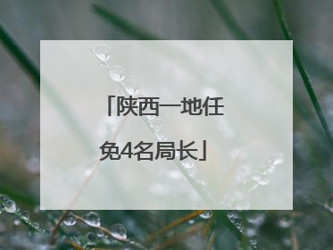 陕西一地任免4名局长