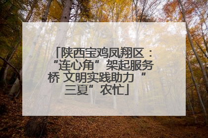 陕西宝鸡凤翔区：“连心角”架起服务桥 文明实践助力“三夏”农忙