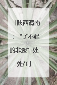 陕西渭南：“了不起的非遗”处处在