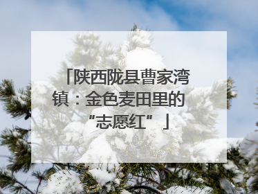 陕西陇县曹家湾镇：金色麦田里的“志愿红”