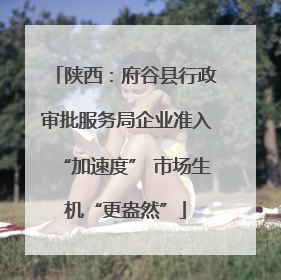 陕西：府谷县行政审批服务局企业准入“加速度” 市场生机“更盎然”