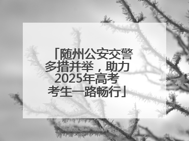 随州公安交警多措并举，助力2025年高考考生一路畅行