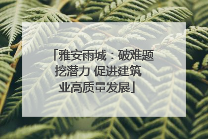 雅安雨城：破难题 挖潜力 促进建筑业高质量发展