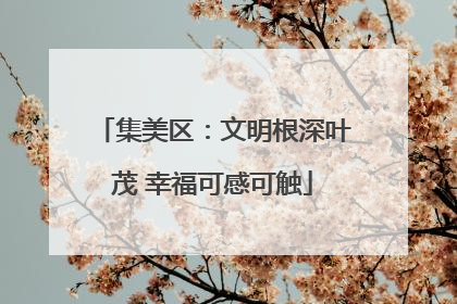 集美区：文明根深叶茂 幸福可感可触