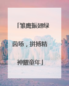 雏鹰振翅绿茵场，拼搏精神耀童年