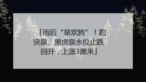 雨后“泉欢腾”！趵突泉、黑虎泉水位止跌回升，上涨3厘米