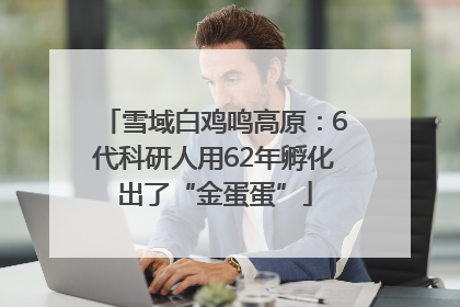 雪域白鸡鸣高原：6代科研人用62年孵化出了“金蛋蛋”