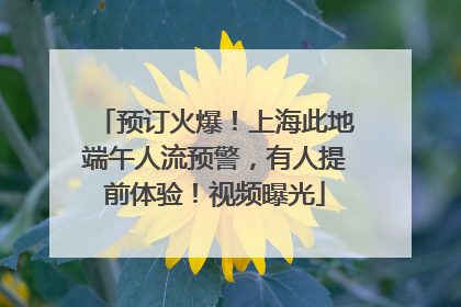预订火爆！上海此地端午人流预警，有人提前体验！视频曝光