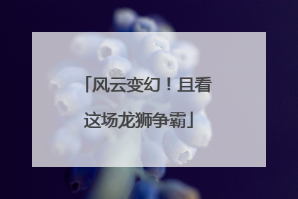 风云变幻！且看这场龙狮争霸
